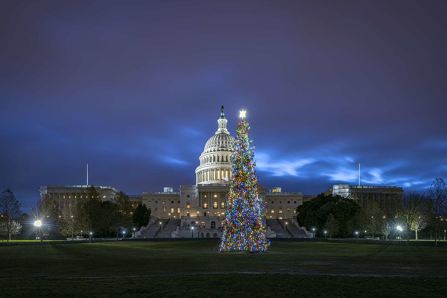 U S  Capitol Christmas Tree Lit Painting by Celestial Images
