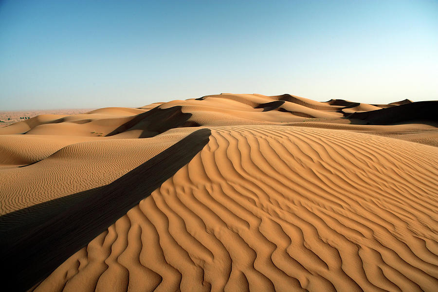 Uae Dubai Sand Dunes In Desert Photograph By Preston Schlebusch