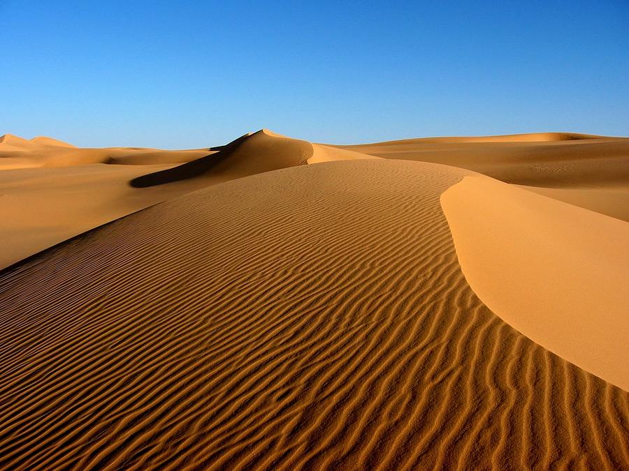 Ubari Sand Sea, Libyan Sahara Photograph by Joe & Clair Carnegie / Libyan Soup