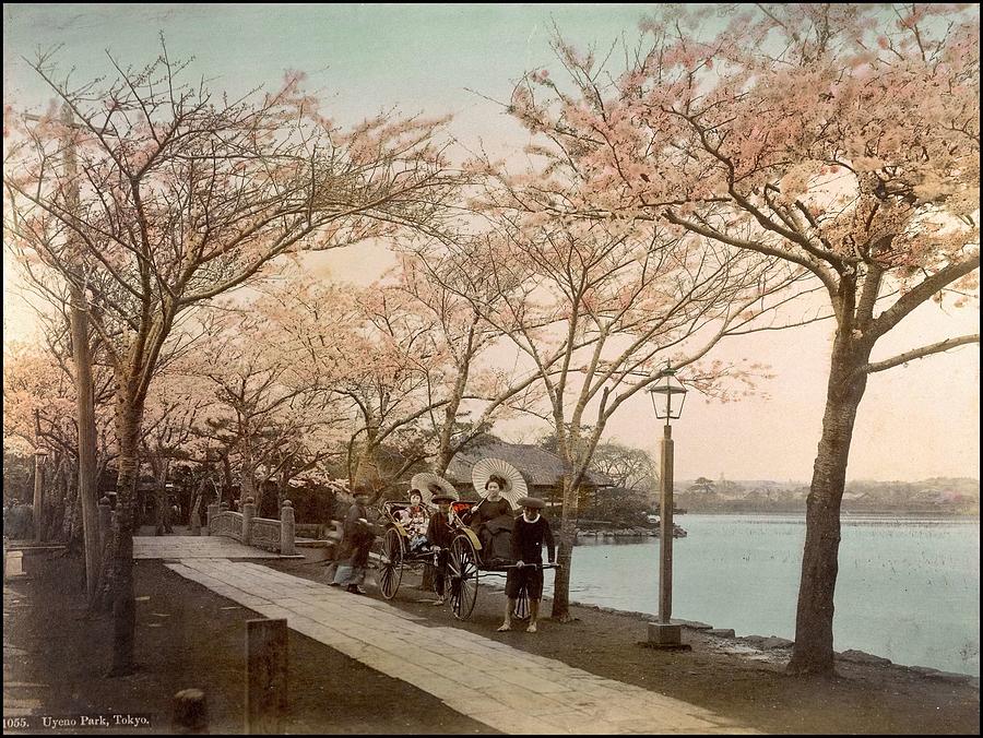 Ueno Park  Tokyo Handcolored japanese albumen print from a tourists album of the early 20th century  Painting by Celestial Images