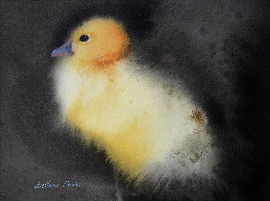 Ugly Duckling by Svetlana Orinko - Fine Art America