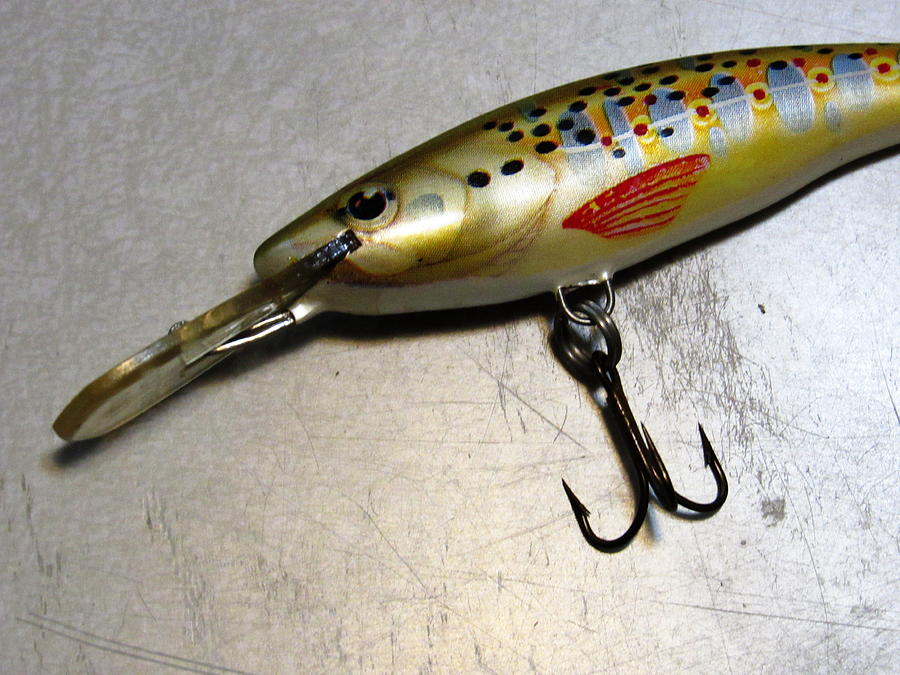 Ugly Duckling Wobler brown trout fishing lure Digital Art by Jeff