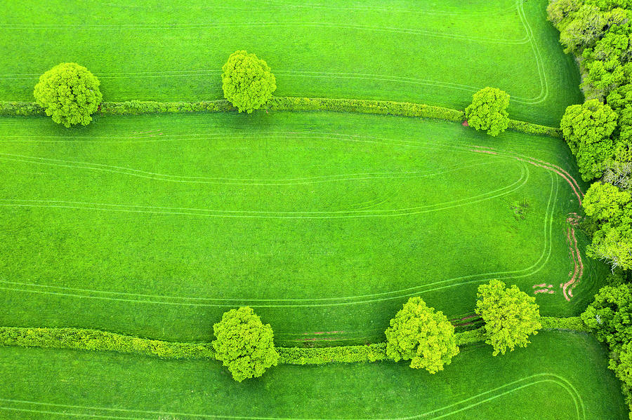 Uk, England, Devon, Exeter, Great Britain, British Isles, Aerial View Of The Green Fields Over Beacon Hill Near Pinhoe Digital Art by Sebastian Wasek