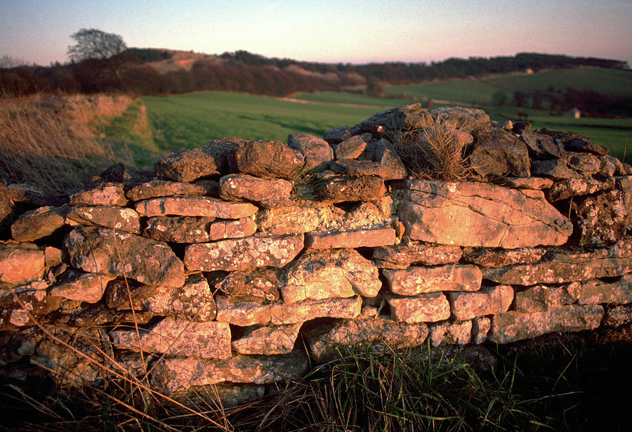UK, Gloucestershire, Cotswold, Late sun on a cotswold stone wall Photograph by Seeables Visual Arts