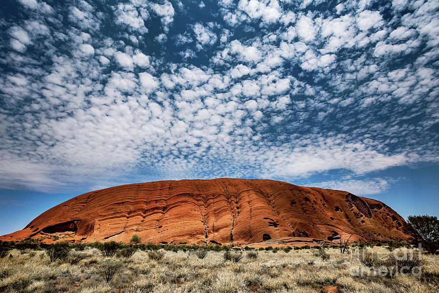 Uluru And Altocumulus Stratiformis Clouds Photograph by Stephen Burt/science Photo Library