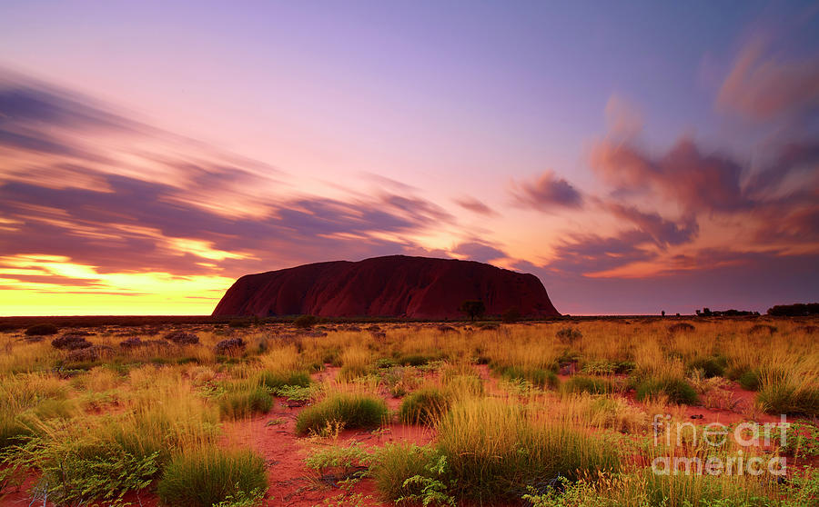 Uluru-kata Tjuta National Park Photograph - Uluru At Dawn by Simonbradfield
