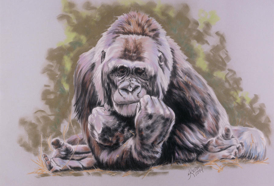Gorilla Painting - Um-m-m by Barbara Keith