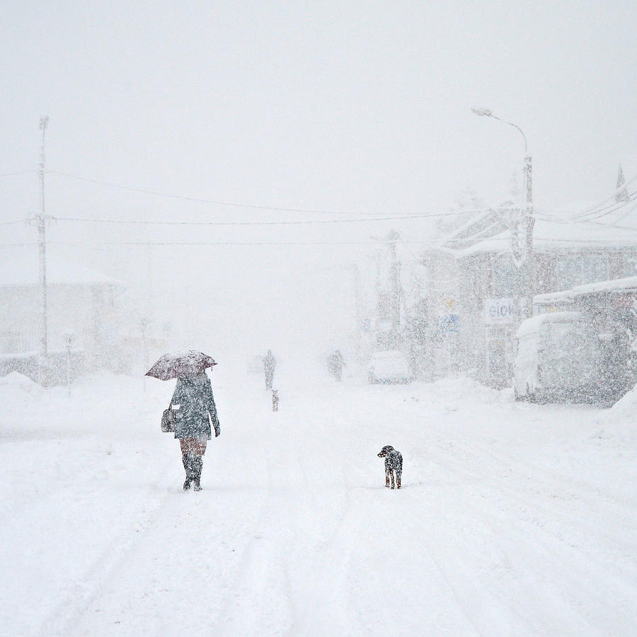 Winter Photograph - Umbrella 2 by Zoran Milutinovic