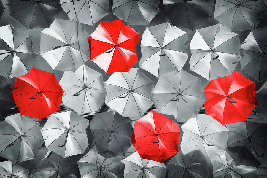 Umbrella Canopy Black White and Red Photograph by Carol Japp
