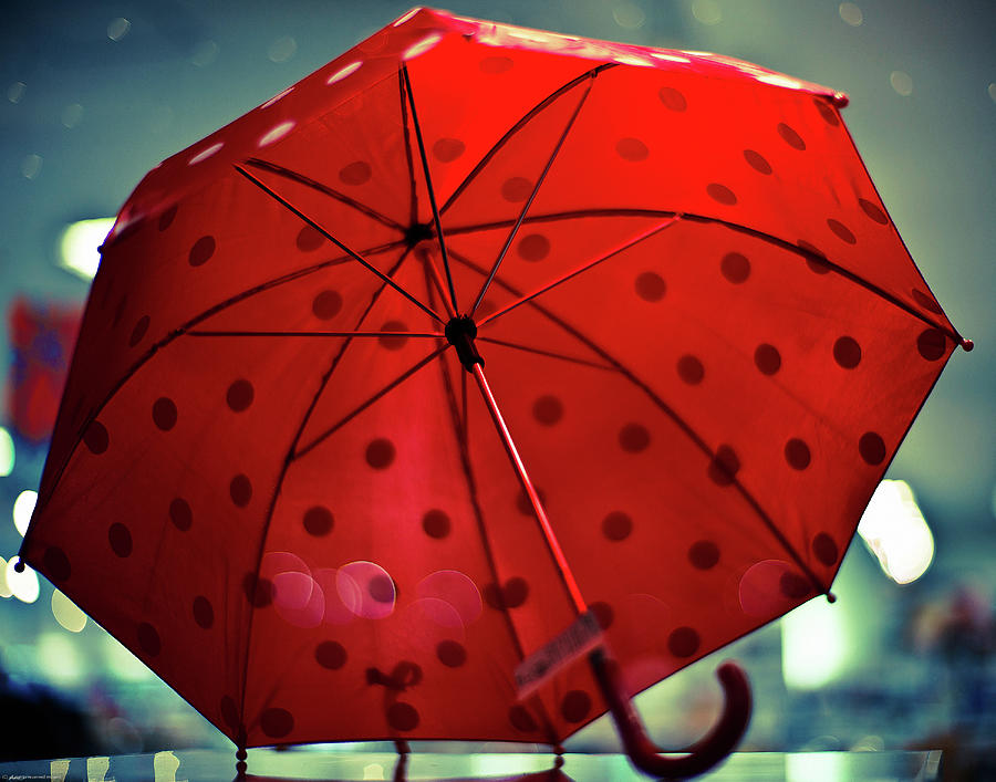 Umbrella Photograph by Moaan