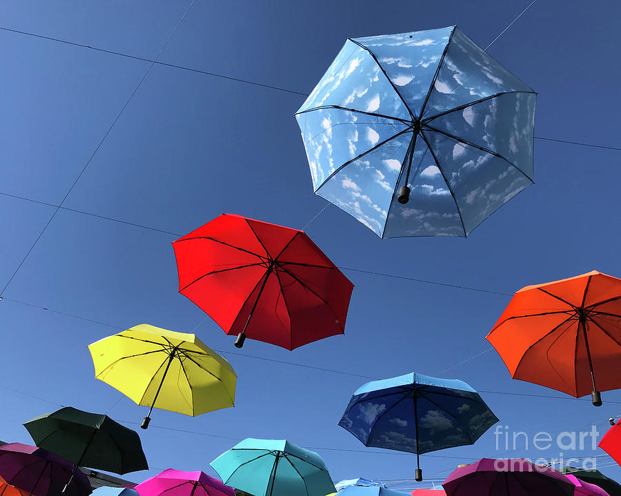Umbrella Series 1 Photograph by Chris Dutton