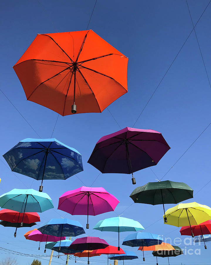 Umbrella Series 2 Photograph by Chris Dutton