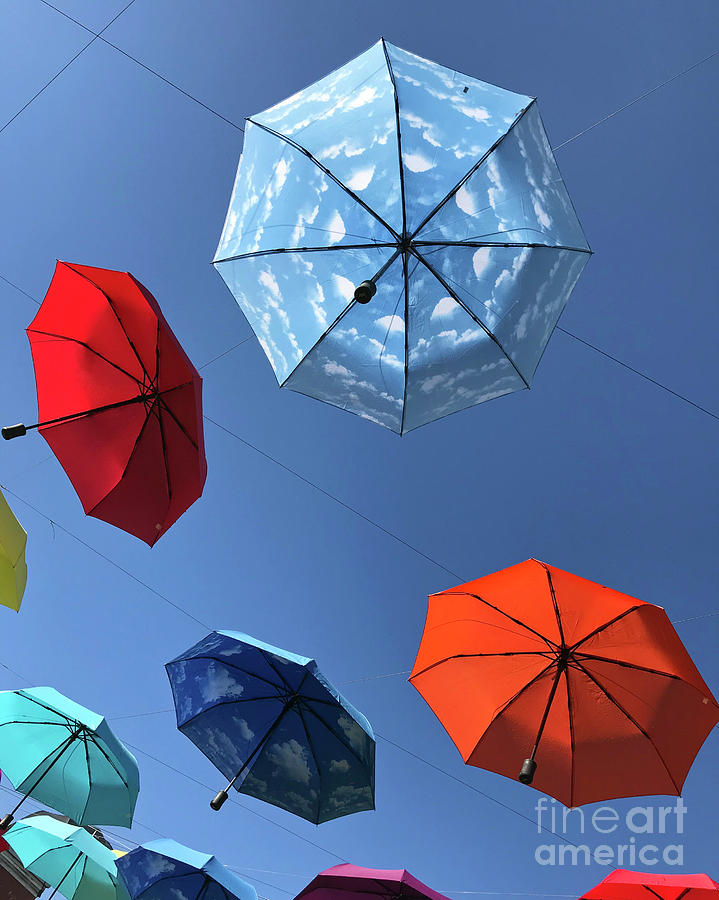 Umbrella Series 3 Photograph by Chris Dutton