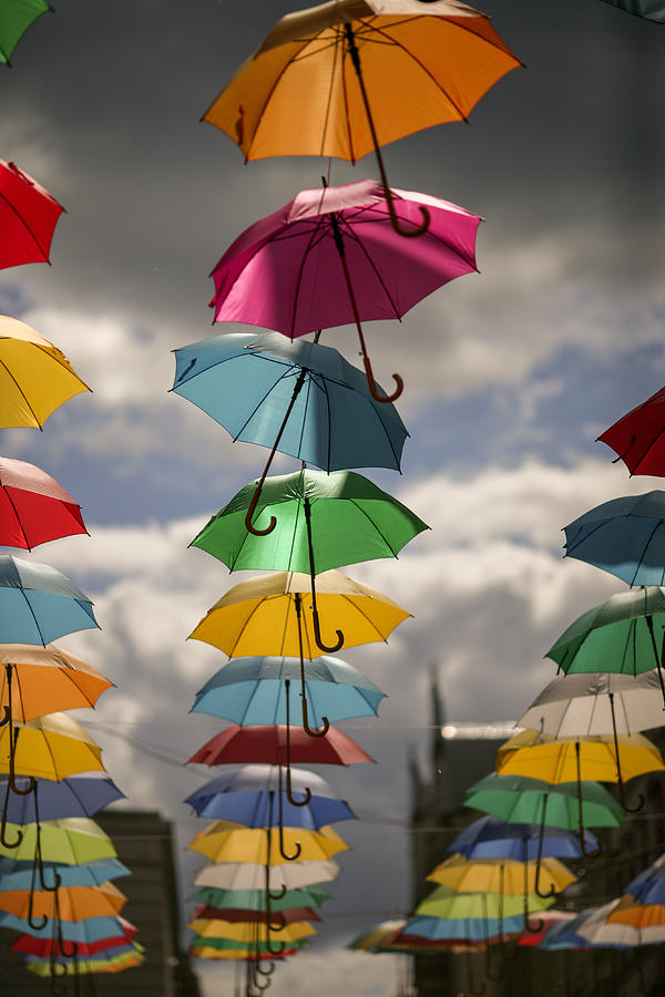 Umbrellas Photograph by Dmitry Stepanov