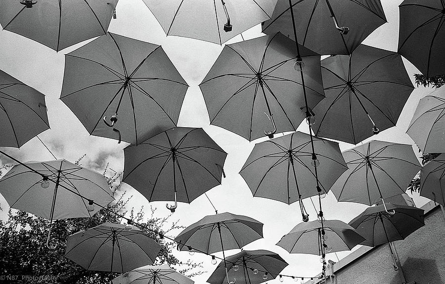 Umbrellas Photograph by Hillis Creative