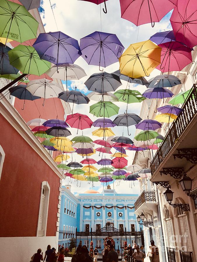 Umbrellas Over La Fortaleza Photograph by Alice Terrill