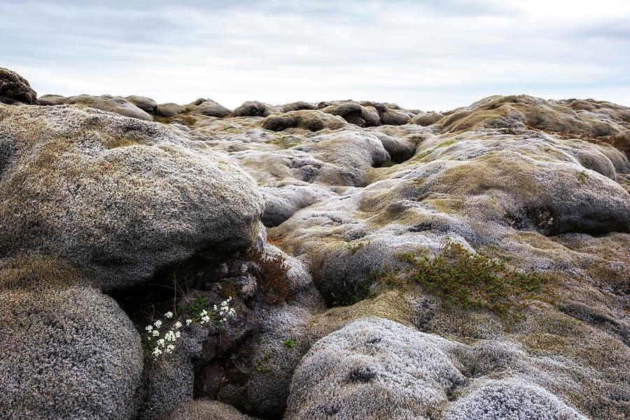 Nature Photograph - Unaccustomed Iceland Landscape by Ivan Kmit