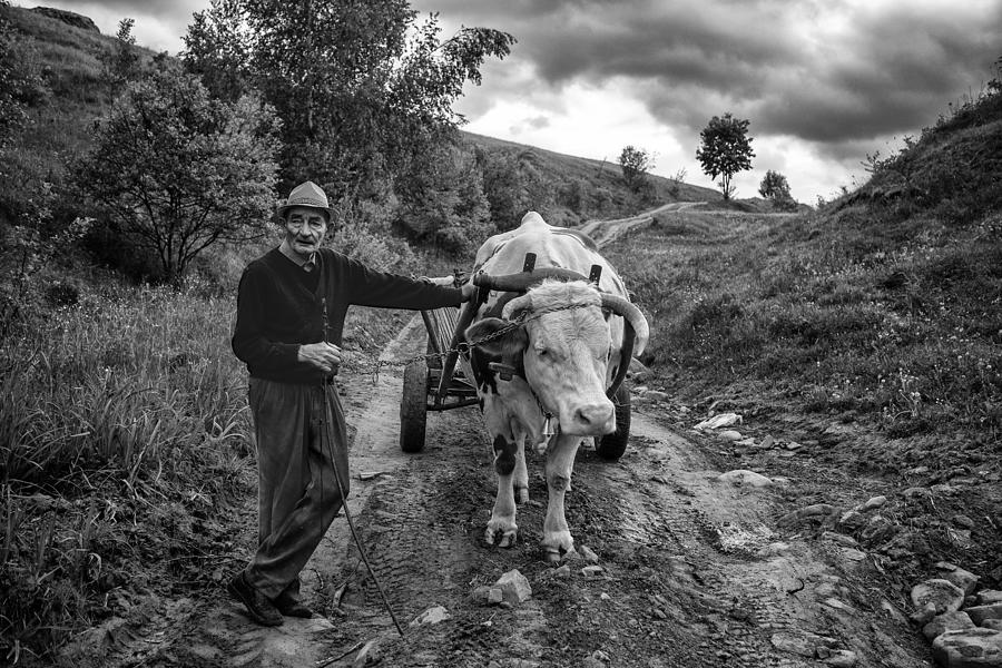 Uncle Andras And Cow Photograph by Zoran Toldi