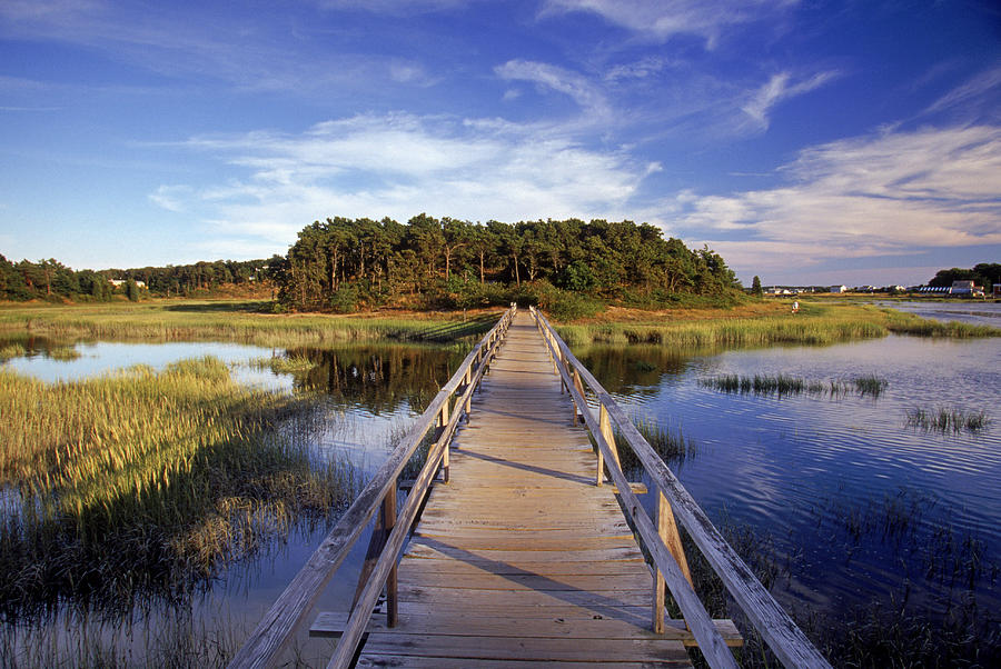 Uncle Tims Bridge, Wellfleet, Cape Cod Photograph by Jeff Greenberg Uncle Tims Bridge, Wellfleet, Cape Cod Photograph by Jeff Greenberg