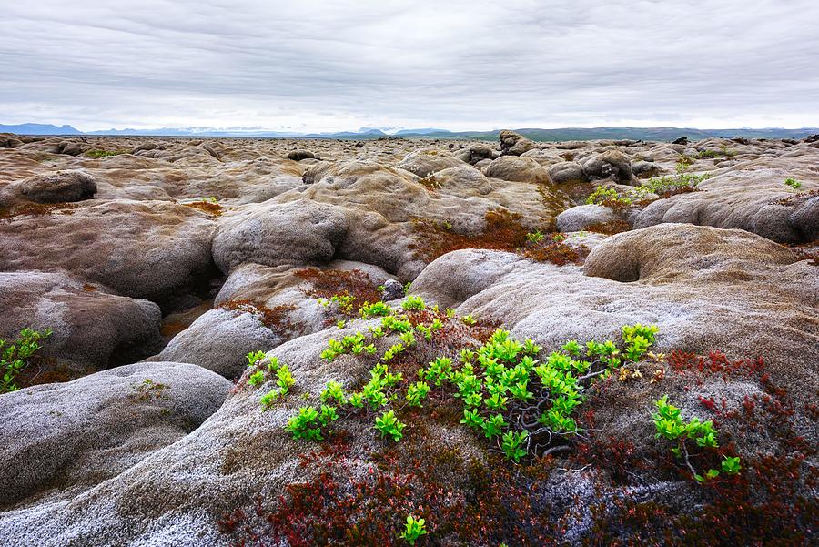 Nature Photograph - Uncommon Iceland Landscape With Lava by Ivan Kmit