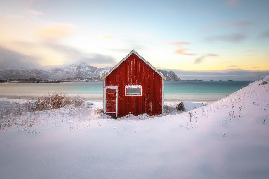 Under An Arctic Sky Photograph by Martin Steeb