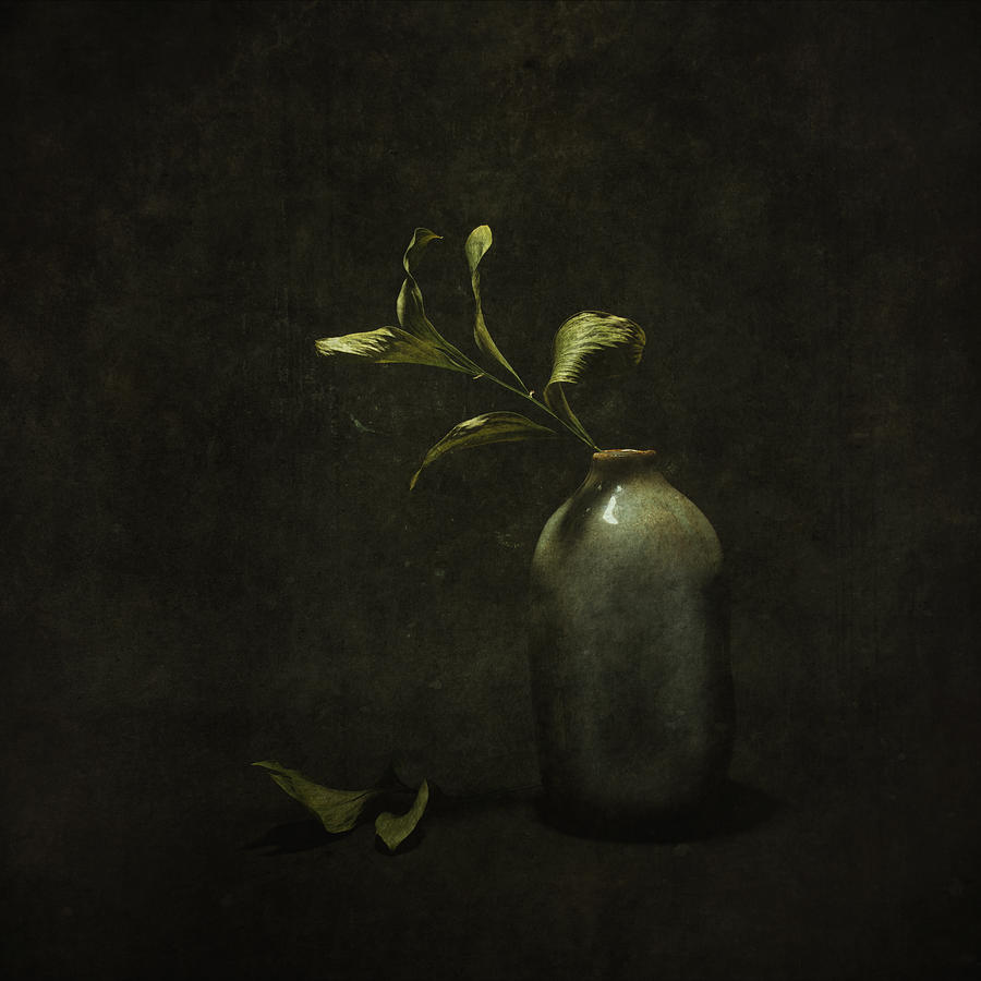 Vase Photograph - Under Harsh Light by çiçek K?ral