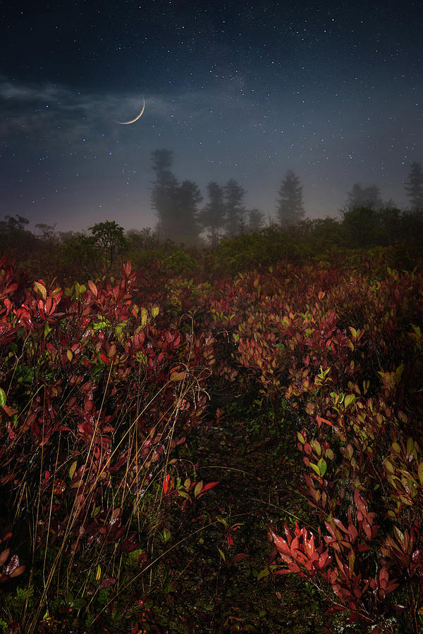 Under The Crescent Moon Photograph