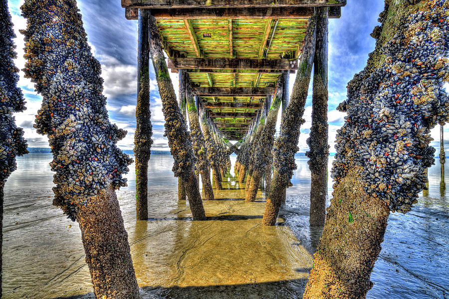 Under the Kayak Point Pier Photograph by Spencer McDonald