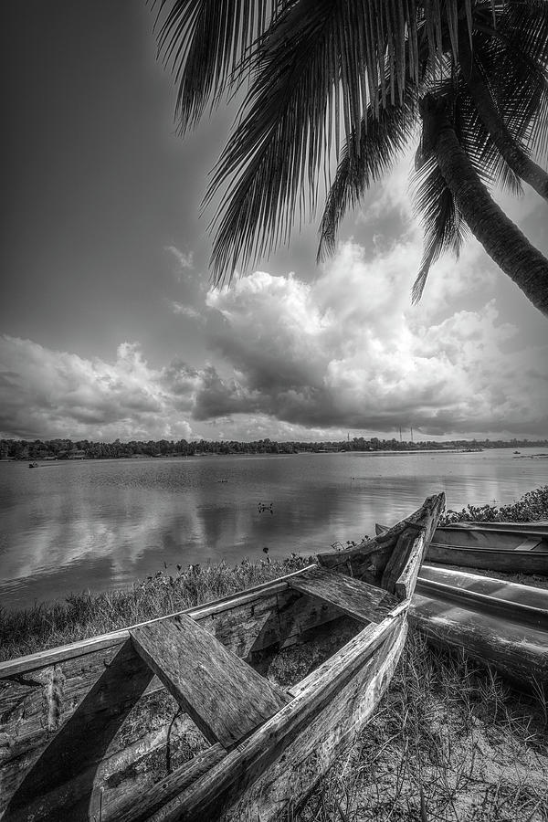 Under the Palm Trees in Black and White Photograph by Debra and Dave Vanderlaan