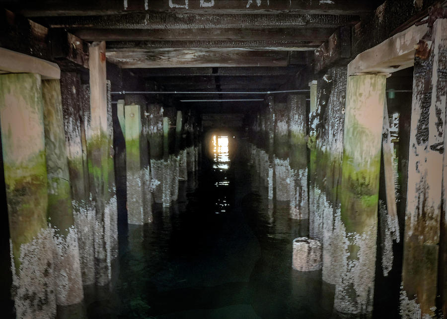Under the Pier Photograph by Pheasant Run Gallery