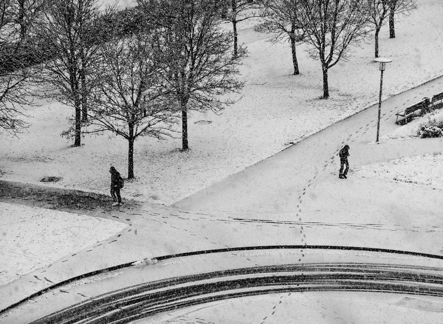 Under The Snowfall Photograph by Adolfo Urrutia