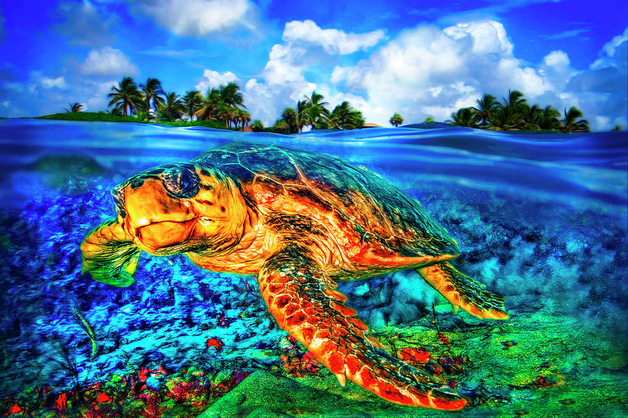 Under the Waves in Glowing Watercolors Photograph by Debra and Dave Vanderlaan Under the Waves in Glowing Watercolors Photograph by Debra and Dave Vanderlaan