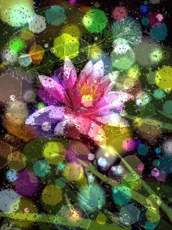 Under Water Lilly  Digital Art by Don Wright