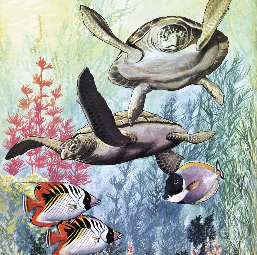Undersea World Painting by English School
