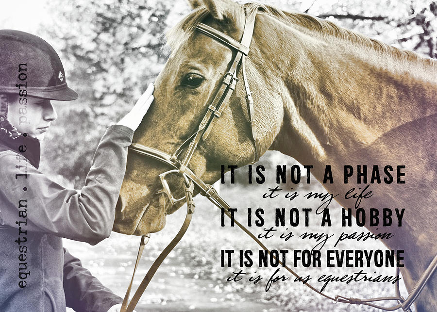 UNDERSTANDING quote Photograph by Dressage Design