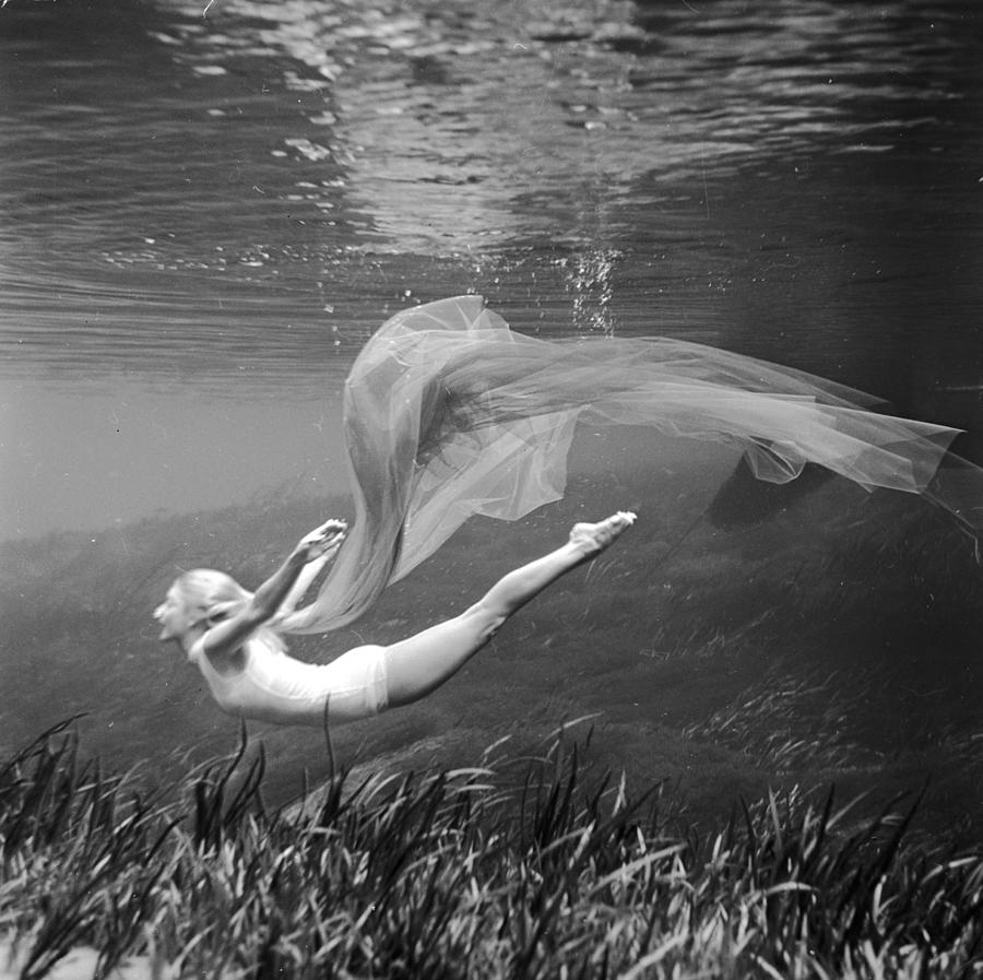 Underwater Dance Photograph by Bruce Mozert