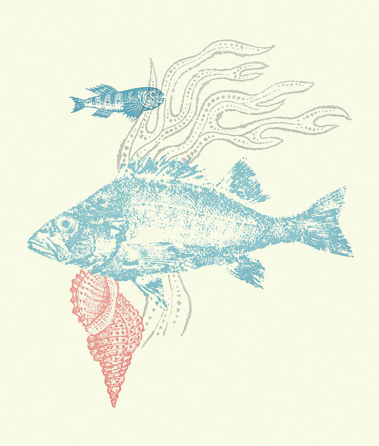 Fish Drawing - Underwater Fish by CSA Images
