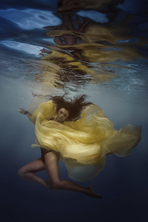 Underwater Lily Photograph by Dmitry Laudin