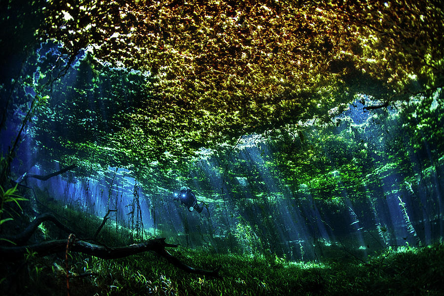 Underwater, Mato Grosso, Brazil Digital Art by Giordano Cipriani