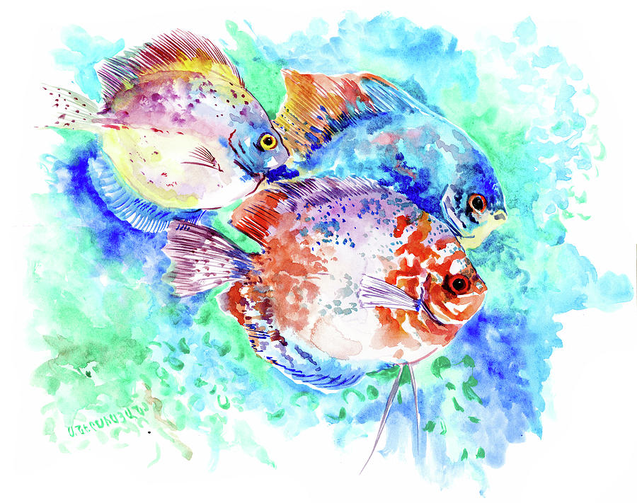 Underwater Tropical Fish Art, Tropical Colors, Amazon Discus Fish Painting by Suren Nersisyan