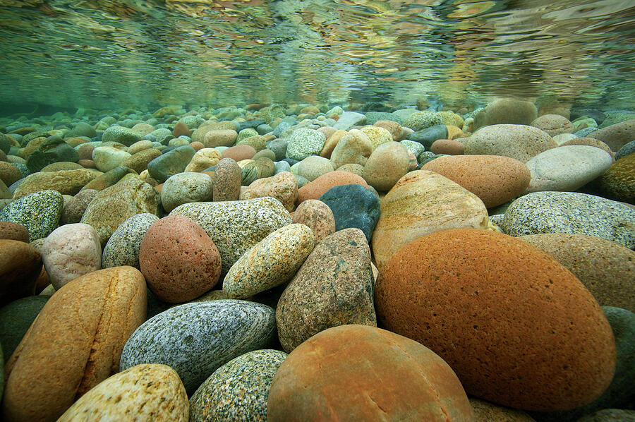 Underwater View Of Pebbles Near The Shore Of Lake Baikal Photograph by Michel Roggo / Naturepl.com Underwater View Of Pebbles Near The Shore Of Lake Baikal Photograph by Michel Roggo / Naturepl.com