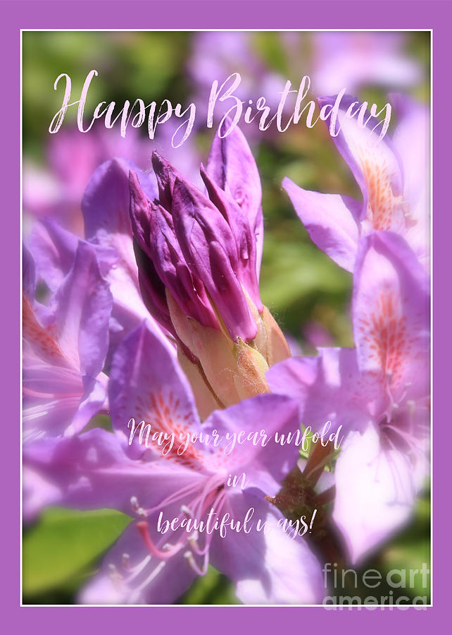 Unfolding Azalea Bud Birthday Card Photograph by Carol Groenen