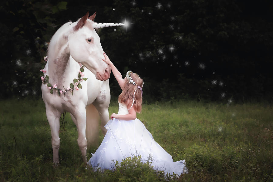 Unicorn and Princess by Anett Mindermann Unicorn and Princess by Anett Mindermann