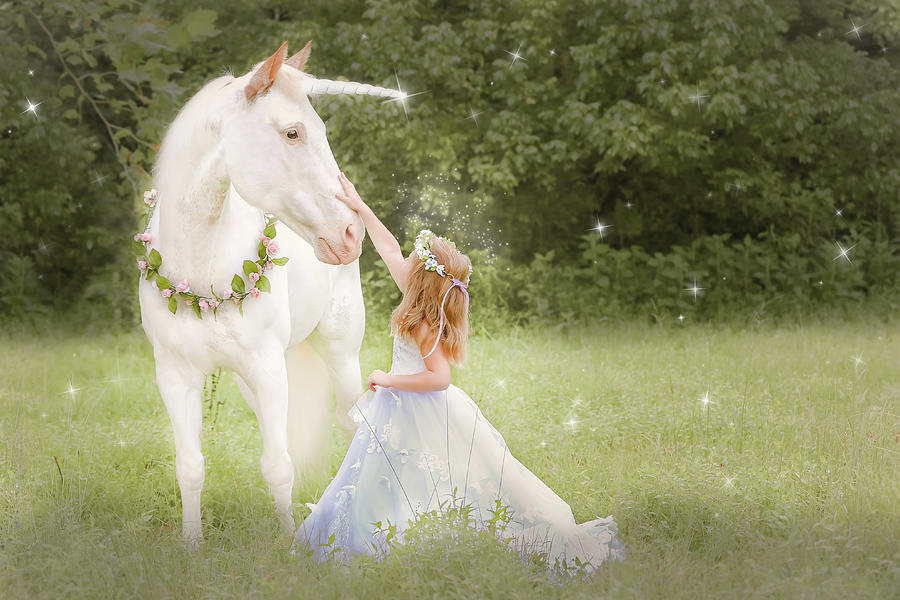 Unicorn and Princess Moments by Anett Mindermann Unicorn and Princess Moments by Anett Mindermann