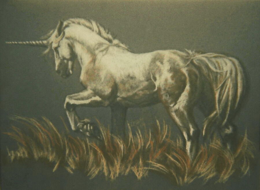 Unicorn Pastel by Barbara Keith