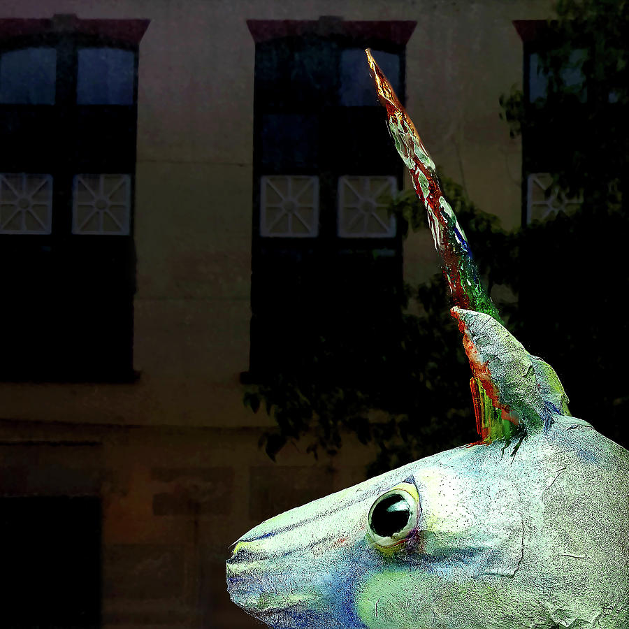 Unicorn in the Window by Tom Romeo Unicorn in the Window by Tom Romeo
