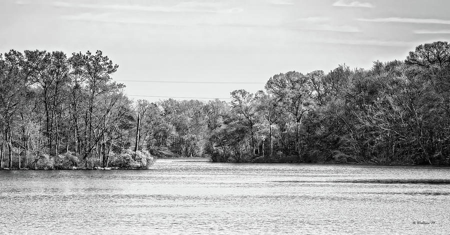 Tree Photograph - Unicorn Lake Grayscale by Brian Wallace