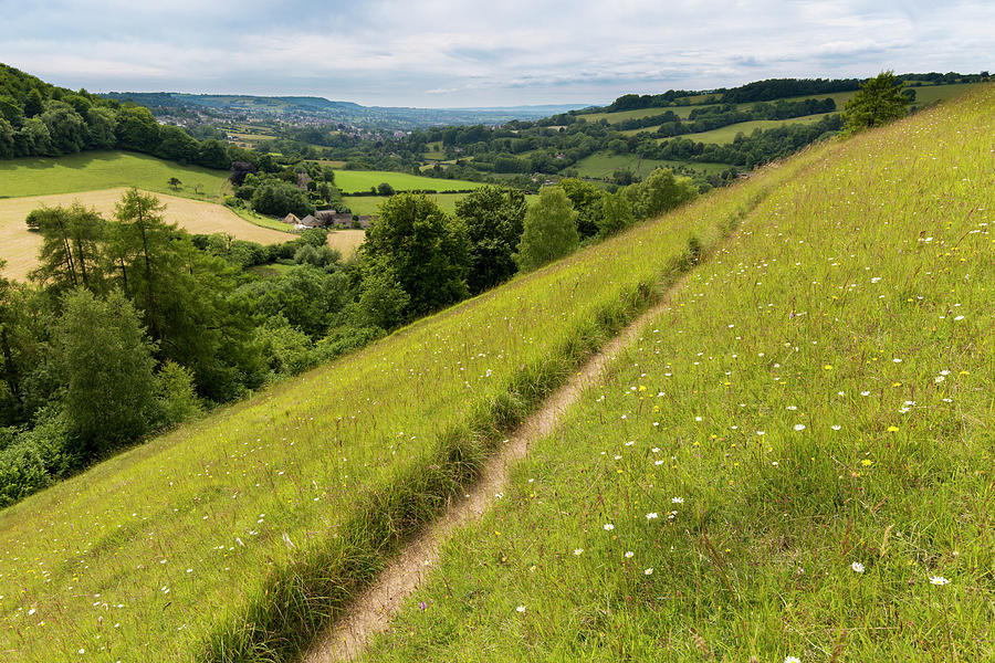 Unimproved Grassland At Swift's Hill, Gloucestershire, Uk Photograph by ...