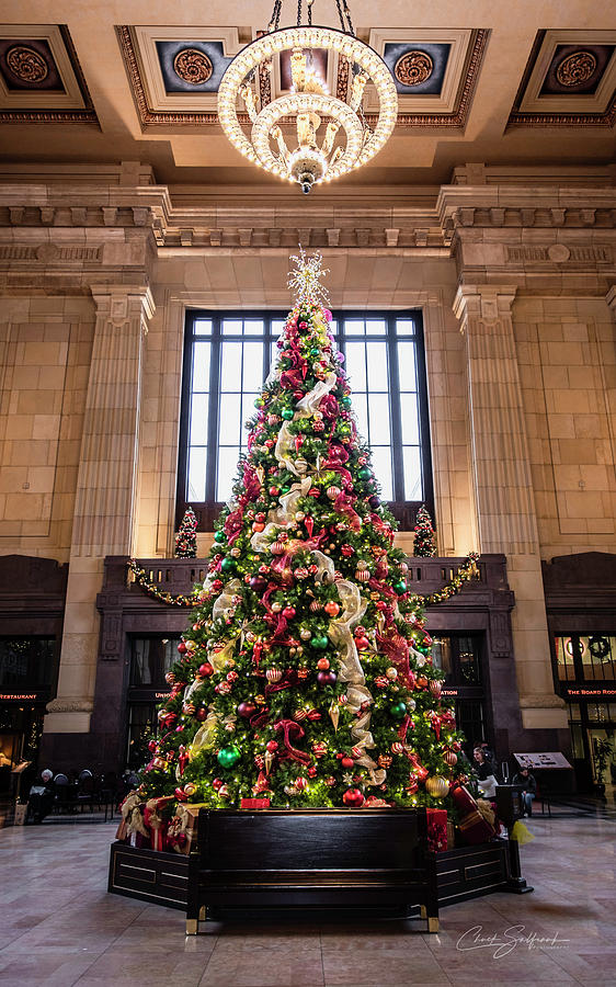 Union Station Christmas Tree Photograph by Chuck Salfrank - Fine Art America