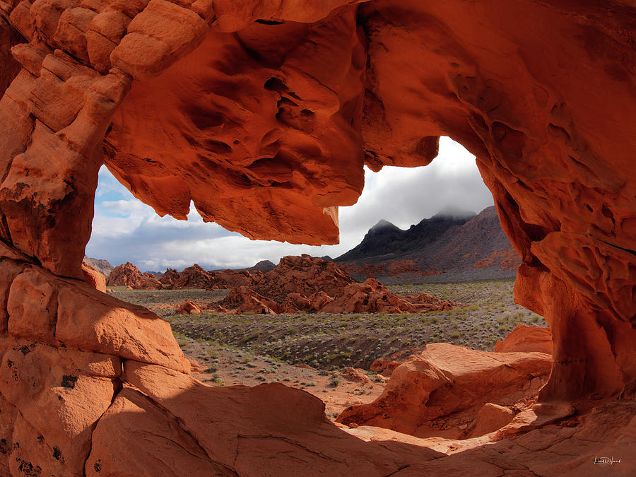 Unique Arch Nevada Photograph by Leland D Howard